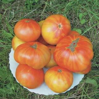 Tomates ananas (250g)